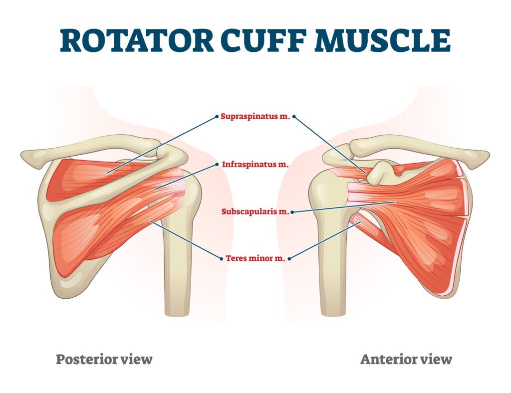 rotator cuff pain better sleep